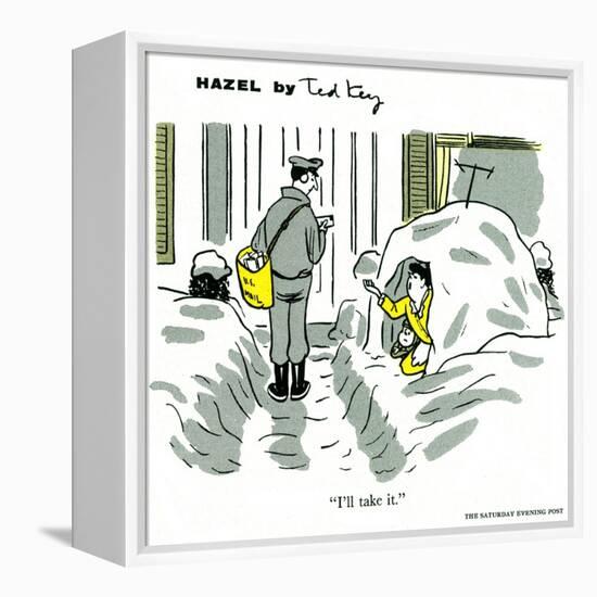 Hazel Cartoon-Ted Key-Framed Premier Image Canvas