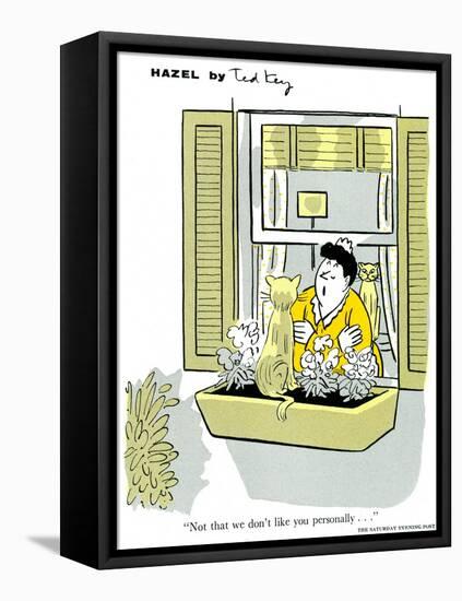 Hazel Cartoon-Ted Key-Framed Premier Image Canvas