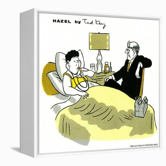 Hazel Cartoon-Ted Key-Framed Premier Image Canvas