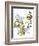 Hazel Cartoon-Ted Key-Framed Giclee Print