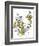 Hazel Cartoon-Ted Key-Framed Giclee Print