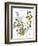 Hazel Cartoon-Ted Key-Framed Giclee Print