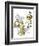 Hazel Cartoon-Ted Key-Framed Giclee Print