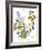 Hazel Cartoon-Ted Key-Framed Giclee Print