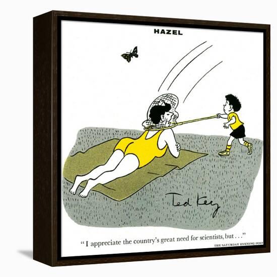 Hazel Cartoon-Ted Key-Framed Premier Image Canvas