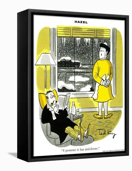 Hazel Cartoon-Ted Key-Framed Premier Image Canvas