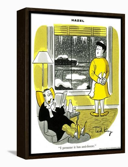 Hazel Cartoon-Ted Key-Framed Premier Image Canvas