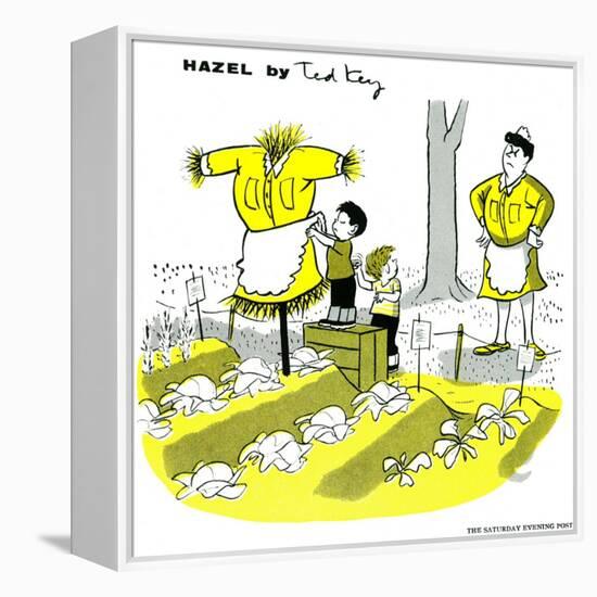 Hazel Cartoon-Ted Key-Framed Premier Image Canvas