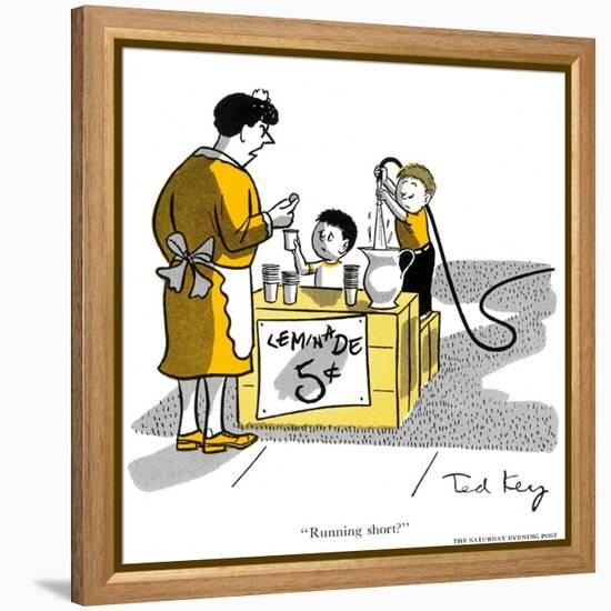 Hazel Cartoon-Ted Key-Framed Premier Image Canvas