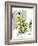 Hazel Cartoon-Ted Key-Framed Giclee Print