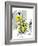 Hazel Cartoon-Ted Key-Framed Giclee Print