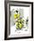 Hazel Cartoon-Ted Key-Framed Giclee Print