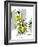 Hazel Cartoon-Ted Key-Framed Giclee Print