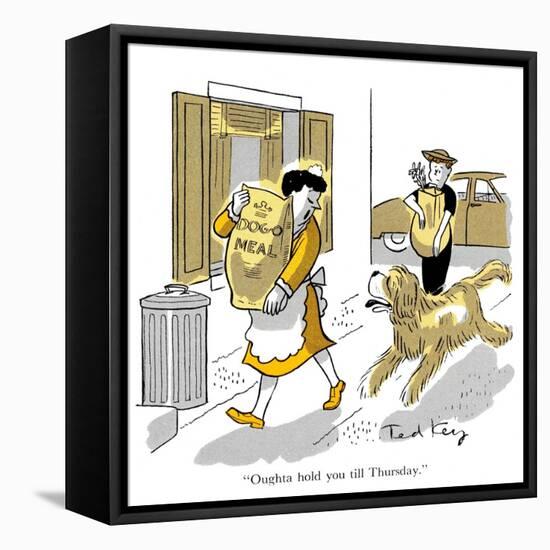 Hazel Cartoon-Ted Key-Framed Premier Image Canvas