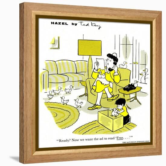 Hazel Cartoon-Ted Key-Framed Premier Image Canvas