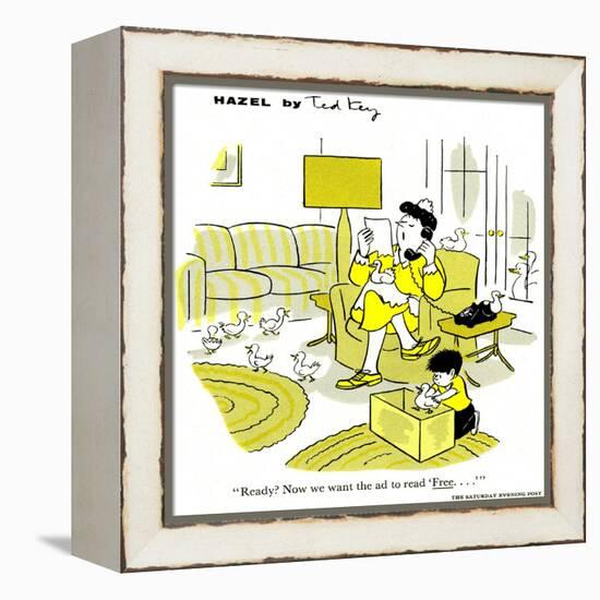 Hazel Cartoon-Ted Key-Framed Premier Image Canvas