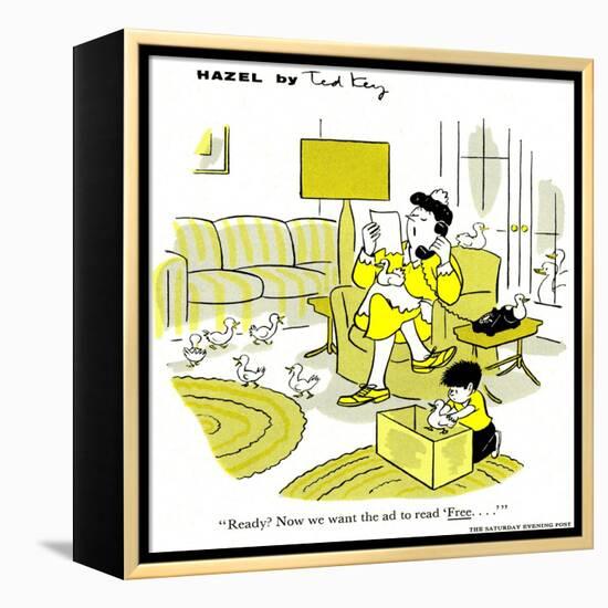 Hazel Cartoon-Ted Key-Framed Premier Image Canvas