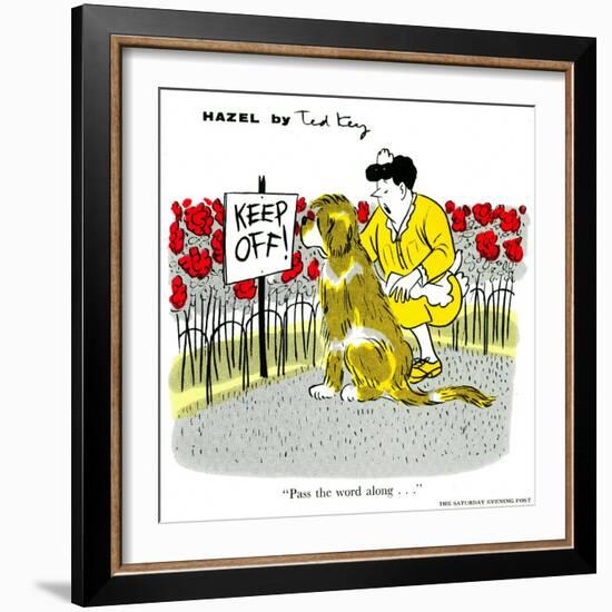 Hazel Cartoon-Ted Key-Framed Giclee Print