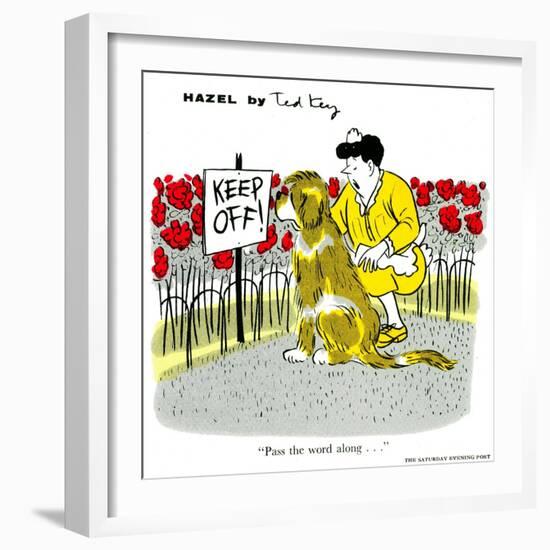 Hazel Cartoon-Ted Key-Framed Giclee Print