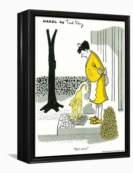 Hazel Cartoon-Ted Key-Framed Premier Image Canvas