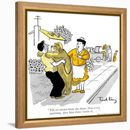 Hazel Cartoon-Ted Key-Framed Premier Image Canvas