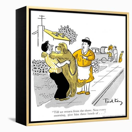 Hazel Cartoon-Ted Key-Framed Premier Image Canvas