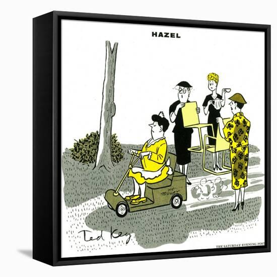 Hazel Cartoon-Ted Key-Framed Premier Image Canvas