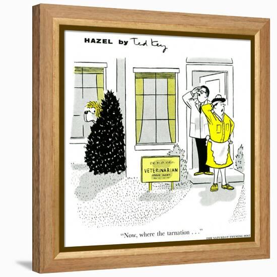 Hazel Cartoon-Ted Key-Framed Premier Image Canvas