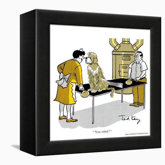 Hazel Cartoon-Ted Key-Framed Premier Image Canvas