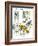 Hazel Cartoon-Ted Key-Framed Giclee Print