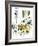 Hazel Cartoon-Ted Key-Framed Giclee Print