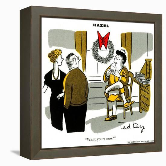 Hazel Cartoon-Ted Key-Framed Premier Image Canvas