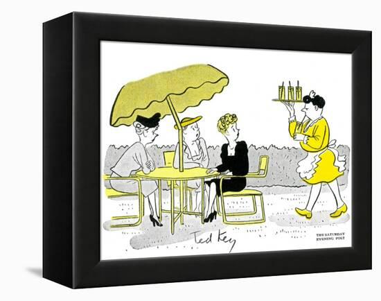 Hazel Cartoon-Ted Key-Framed Premier Image Canvas