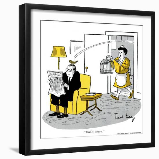 Hazel Cartoon-Ted Key-Framed Giclee Print