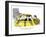 Hazel Cartoon-Ted Key-Framed Giclee Print