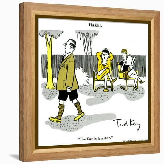 Hazel Cartoon-Ted Key-Framed Premier Image Canvas