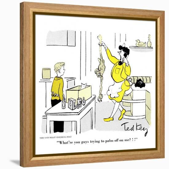 Hazel Cartoon-Ted Key-Framed Premier Image Canvas