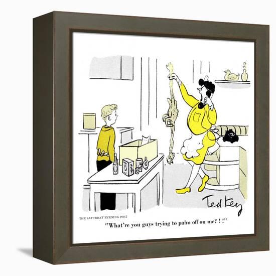 Hazel Cartoon-Ted Key-Framed Premier Image Canvas