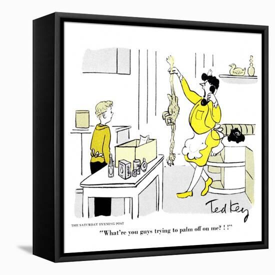 Hazel Cartoon-Ted Key-Framed Premier Image Canvas