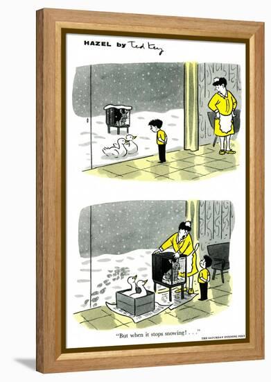 Hazel Cartoon-Ted Key-Framed Premier Image Canvas