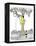 Hazel Cartoon-Ted Key-Framed Premier Image Canvas