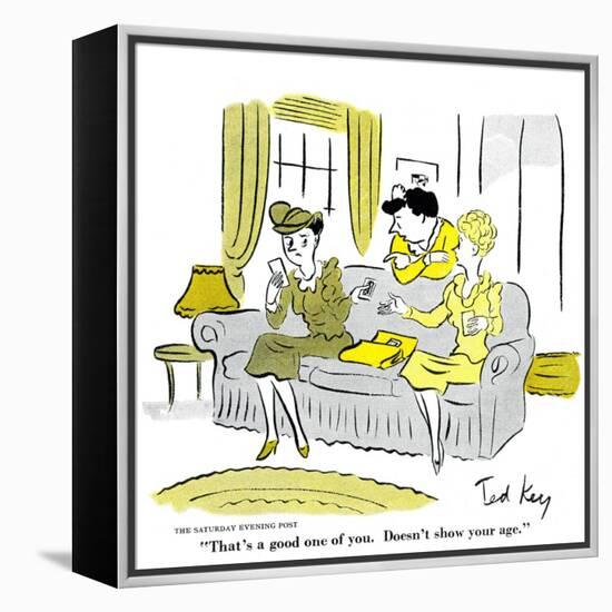 Hazel Cartoon-Ted Key-Framed Premier Image Canvas