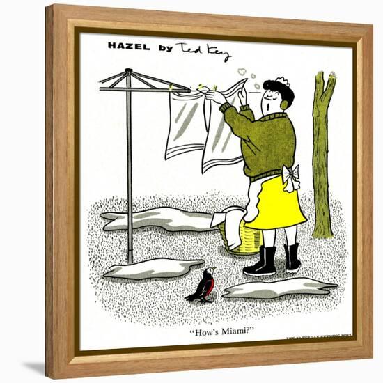 Hazel Cartoon-Ted Key-Framed Premier Image Canvas