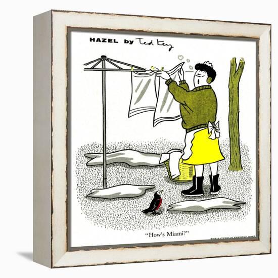 Hazel Cartoon-Ted Key-Framed Premier Image Canvas