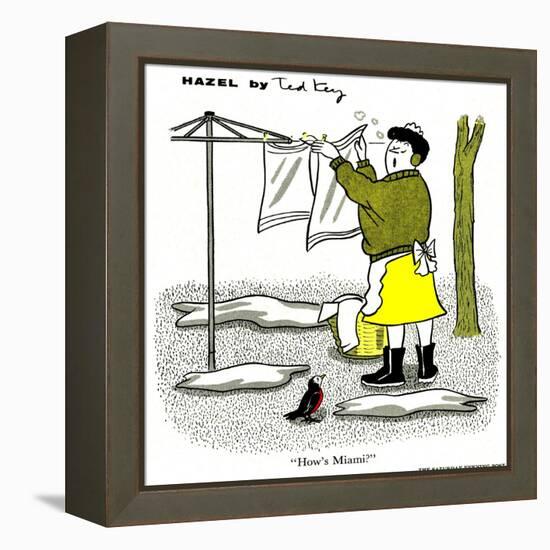 Hazel Cartoon-Ted Key-Framed Premier Image Canvas