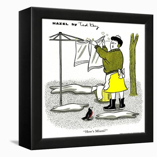 Hazel Cartoon-Ted Key-Framed Premier Image Canvas