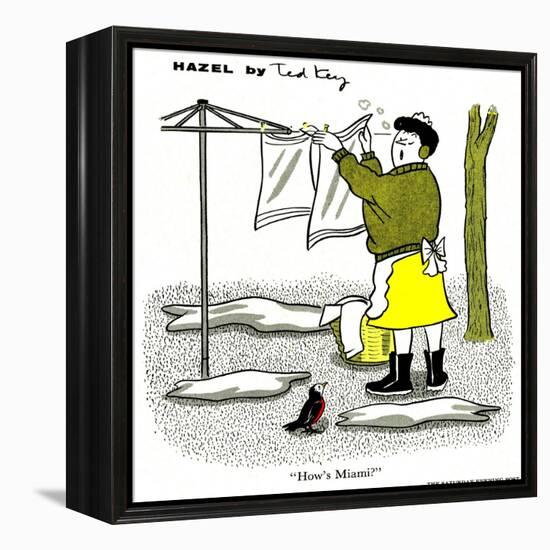 Hazel Cartoon-Ted Key-Framed Premier Image Canvas