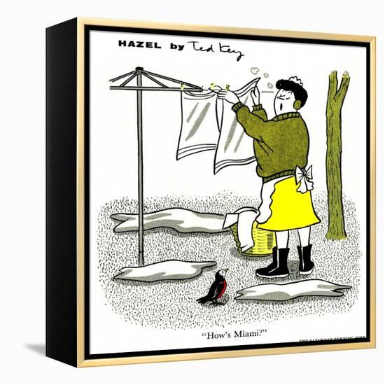 Hazel Cartoon-Ted Key-Framed Premier Image Canvas