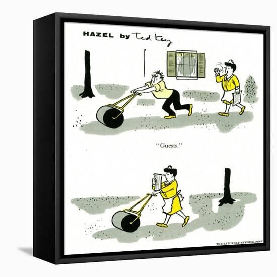 Hazel Cartoon-Ted Key-Framed Premier Image Canvas