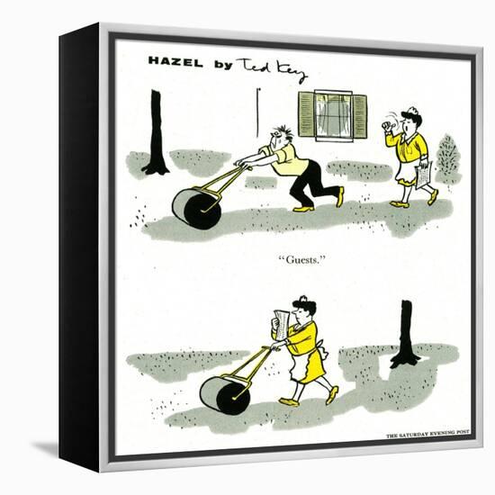 Hazel Cartoon-Ted Key-Framed Premier Image Canvas